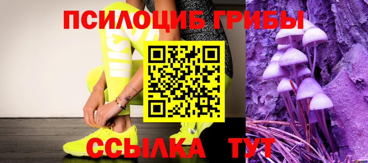 Галлюциногенные грибы Cubensis  Псилоцибиновые грибы Magic Shrooms  Вход с VPN  Череповец 
